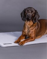Kühlmatte Paikka weich S 80 cm taupe