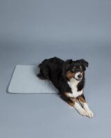 Kühlmatte Paikka weich S 80 cm taupe