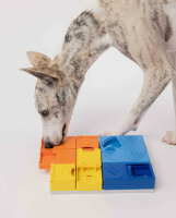 Rainbow Set – Pawzler Intelligenz Puzzle Spielzeug