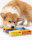 Rainbow Set – Pawzler Intelligenz Puzzle Spielzeug