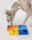 Rainbow Set – Pawzler Intelligenz Puzzle Spielzeug