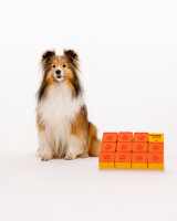 Treat Maze Set – Pawzler Intelligenz Puzzle Spielzeug