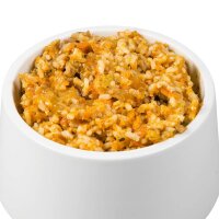Sanoro BIO Gemüse-Obst-Mix 2 mit Bio-Reis und...