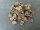Cookies Enten Stickli Stücklis | 100 g [DE]